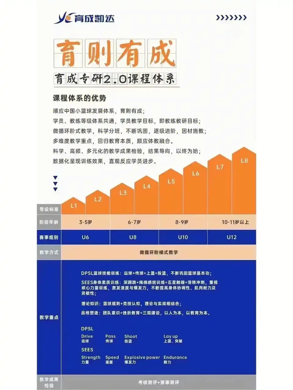 哪里能找到关于智能球衣在篮球训练中应用的信息_0